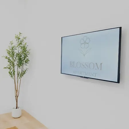 Blossom * Бари